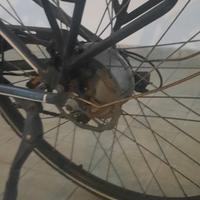 Bicicletta Torpado Iride