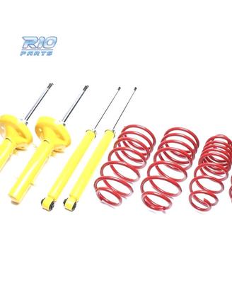 SOSPENSIONE SPORTIVA RENAULT CLIO 1990-1998 60/--m