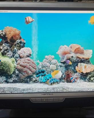 Monitor PC Lcd