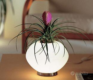 LAMPADA DA TAVOLO LUCI ALTERNATIVE BIO SFERA MINI