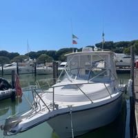 Fourwinns 257 Yamaha 250x2