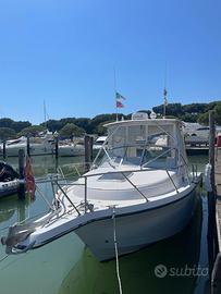 Fourwinns 257 Yamaha 250x2