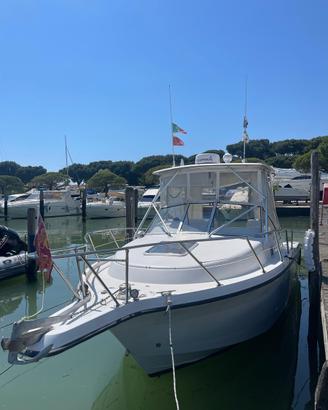 Fourwinns 257 Yamaha 250x2