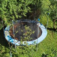 trampolino elastico