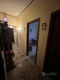 Trilocale arredato 70mq