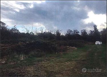 Terreno Agricolo a Terracina