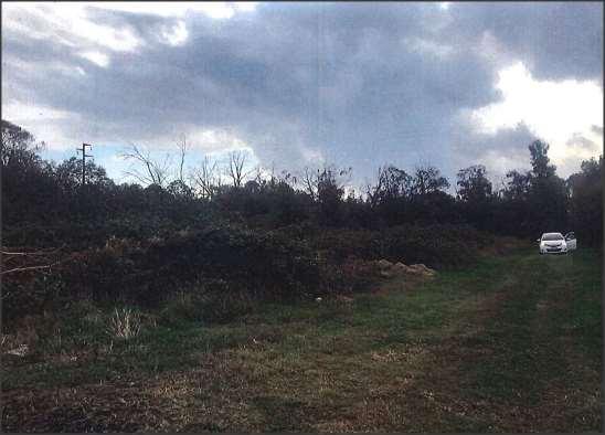 Terreno Agricolo a Terracina