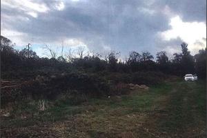 Terreno Agricolo a Terracina