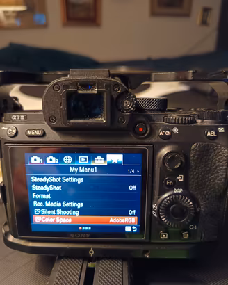 sony a7iii con cage smallrig