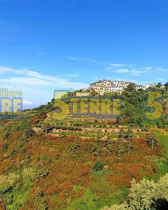 Rustico / Casale di 25 m² con 2 locali a Riomaggio