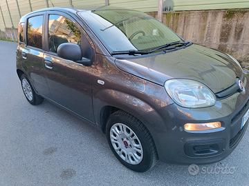 PANDA ANNO 2018 1200 BENZINA 