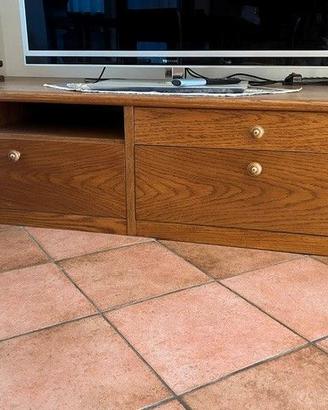 mobile porta tv