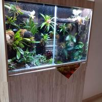 Terrario