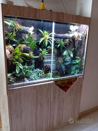 Terrario