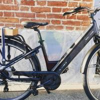 E bike Olympia Roadster Confort