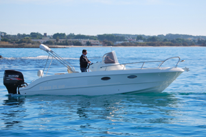 Mingolla Brava 25 WA