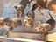 Immagine 5