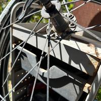 Copertoni per mtb 29 e cerchio bici da corsa