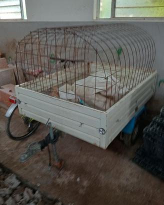 Rimorchio appendice