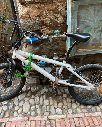 Bicicletta BMX