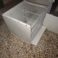 gabbia per canarini 