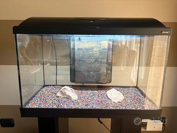 Acquario 60L con filtro, riscaldatore e mangiatoia