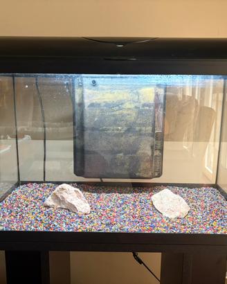 Acquario 60L con filtro, riscaldatore e mangiatoia