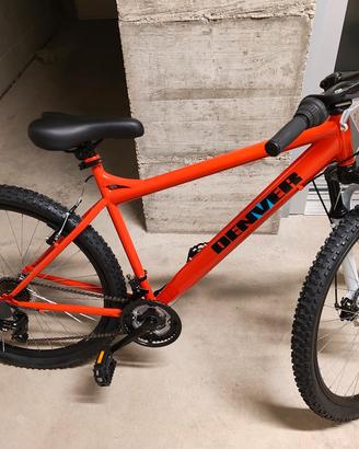 bicicletta