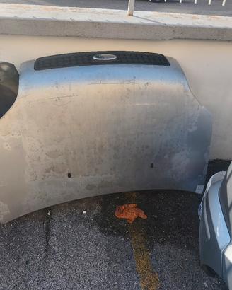 cofano anteriore Ford fusion 2002-2006