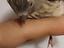 Immagine 2