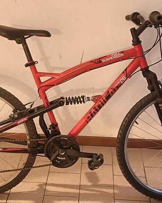 biciclette full suspension 26 FS  radical
