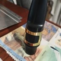 Bocchino sax tenore