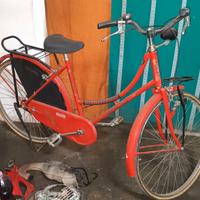 Bicicletta donna