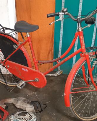 Bicicletta donna