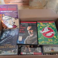 DVD - lotto