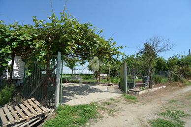 TER. AGRICOLO A SETTIMO TORINESE