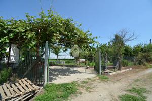 TER. AGRICOLO A SETTIMO TORINESE