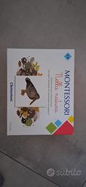 Gioco Montessori