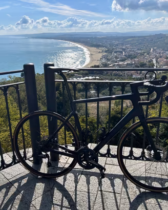 Bici da corsa Rose Reveal Six Carbonio Ultegra 59