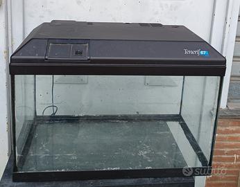Acquario 