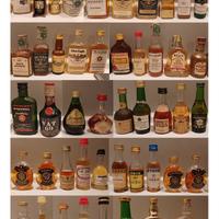 collezione completa di 199 bottiglie mignon