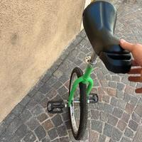 Monociclo essenziale