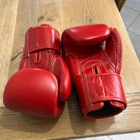 Guantoni fairtex  10 once