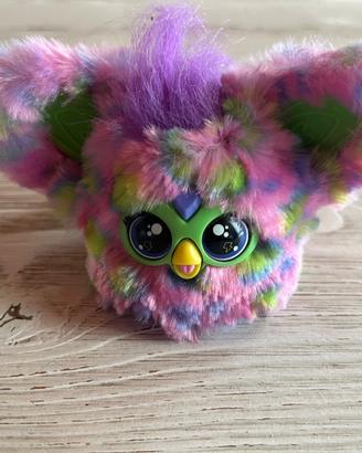 Libri + furby piccolo