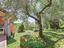 Immagine 18