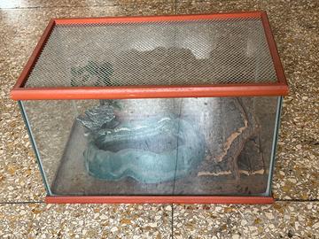 terrario per piccoli rettili o anfibi  50x30x30