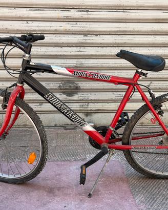 Bici Mountainbike