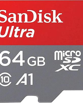 scheda micro SD da 16 GB 