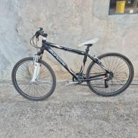 mountain bike Mondial 26 uomo