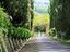 Immagine 22